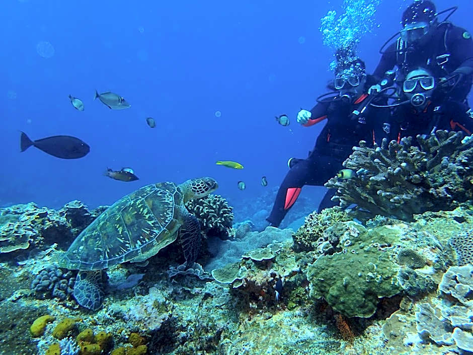 綠島寧靜海潛水-城堡館 Twinkleocean diving hostel