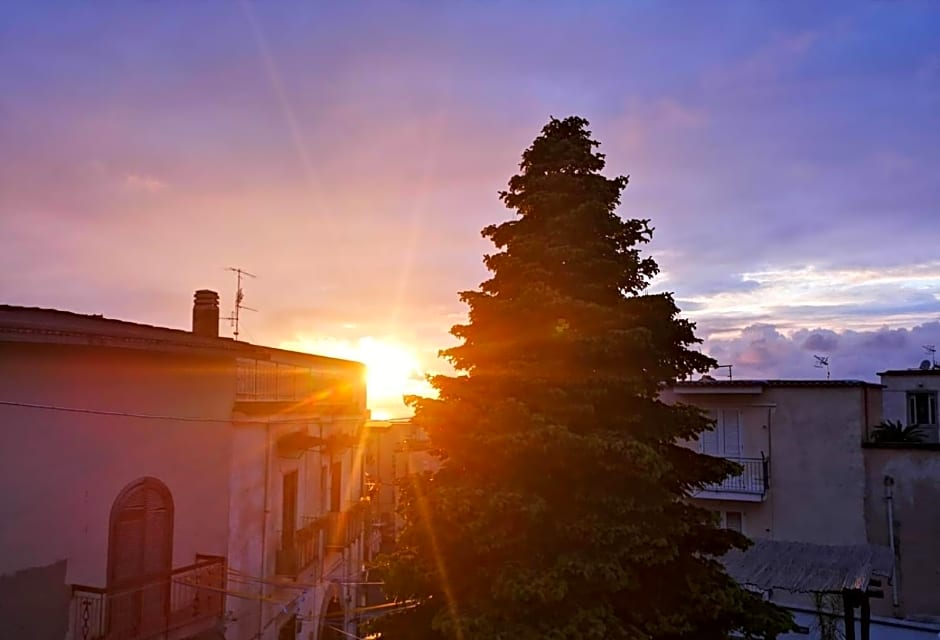 Tettoeletto Garden Bio