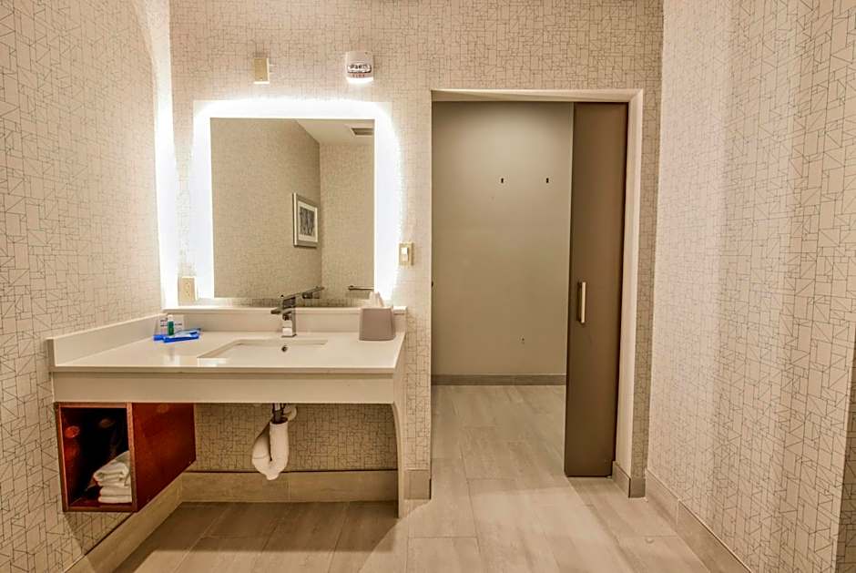 Holiday Inn Express & Suites Dallas NW - Farmers Branch By IHG