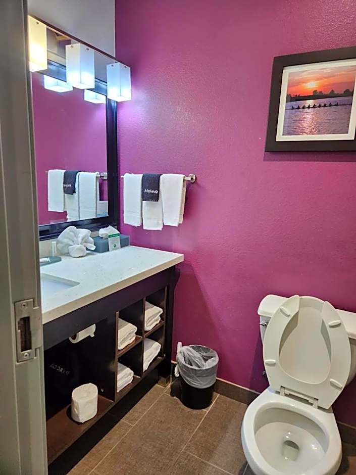 La Quinta Inn & Suites by Wyndham Dallas Grand Prairie North