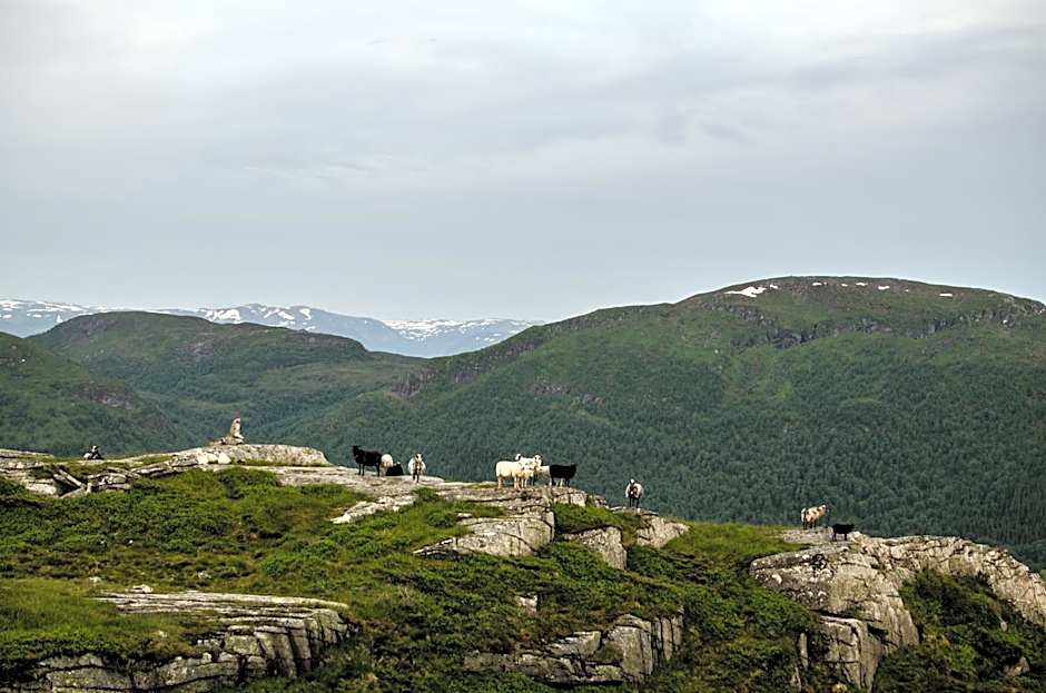 Lavik Fjord Hotel & Apartments