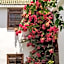 Riad Alma