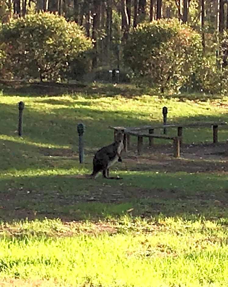 Hunter Valley Retreat