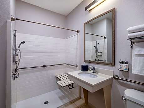 King Room with Roll In Shower - Non-Smoking