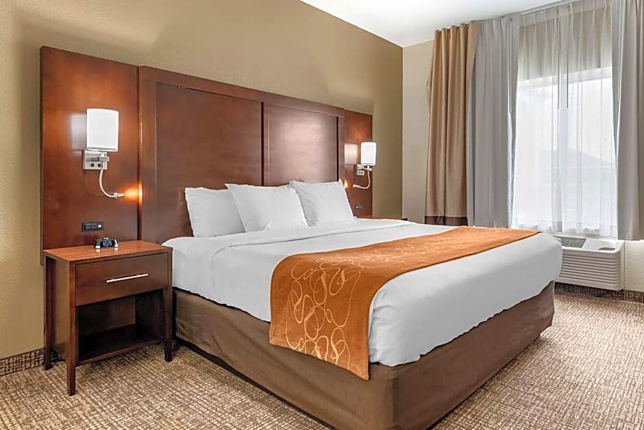 Comfort Suites Auburn near I-69