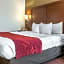 Comfort Suites Columbus