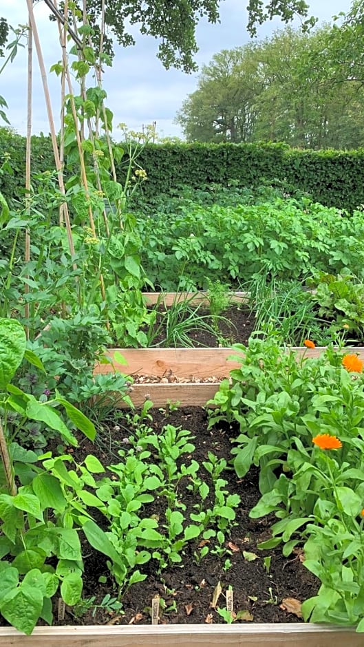 Vakantiehuis Bed en Breakfast in de Tuin