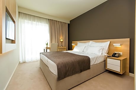 Special Offer - Superior Double Room with New Year's Package