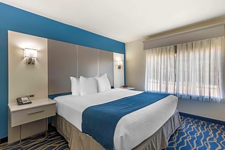 King Suite - Pet Friendly/Non-Smoking