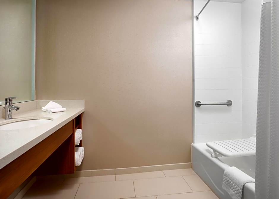 SpringHill Suites by Marriott Pittsburgh Mt. Lebanon