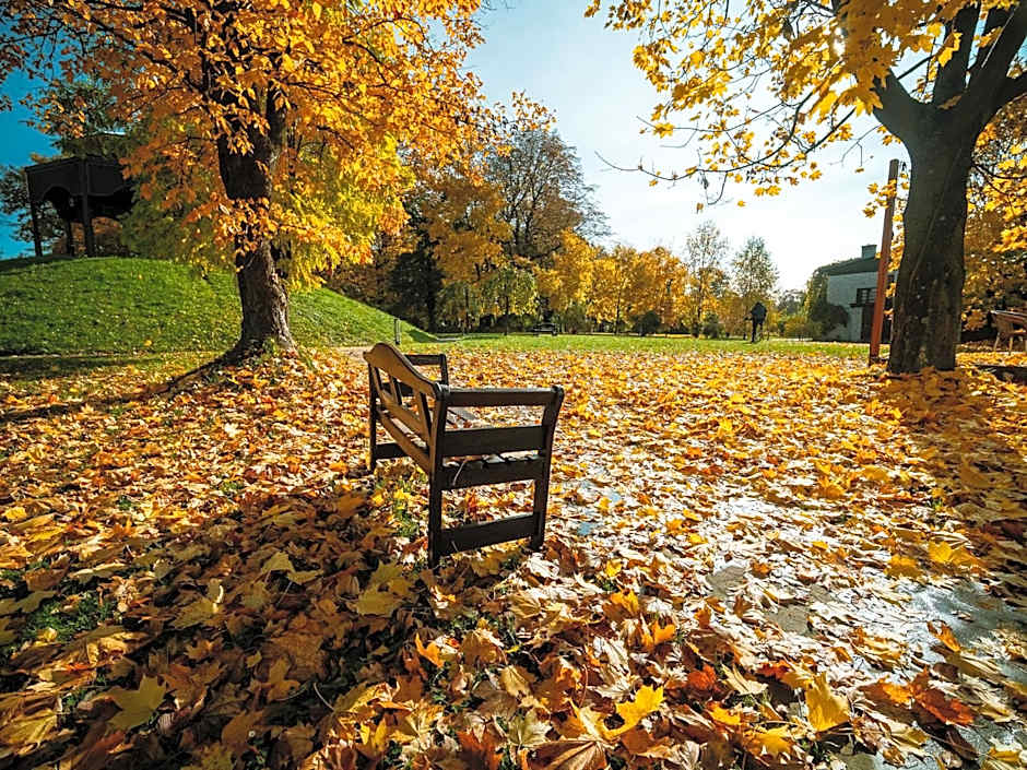 Dwór w Tomaszowicach