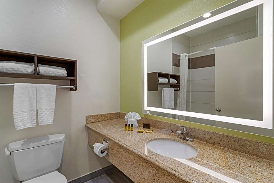 Best Western Plus North Houston Inn & Suites