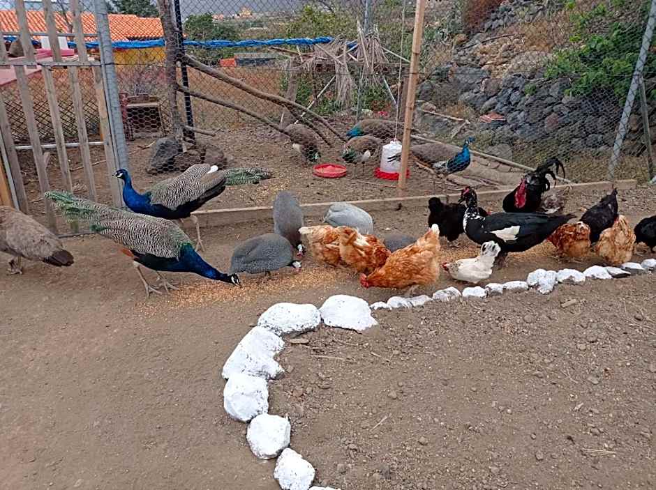 Hotel Rural La Raya 1866