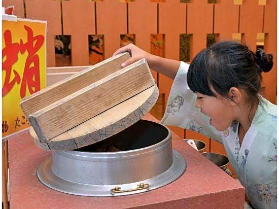Washu Onsen Bizenya Koushi