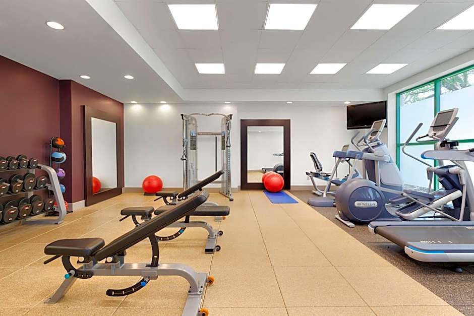 Embassy Suites By Hilton Hotel Tampa-USF/Near Busch Gardens