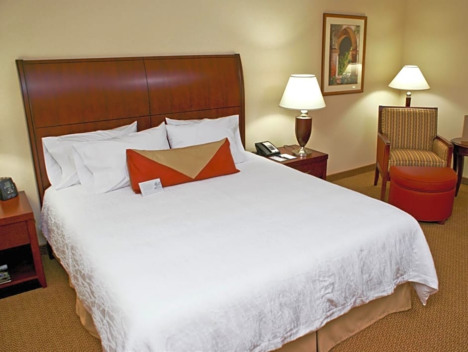 Photo 1 of 4 of 1 King Bed with Sofabed