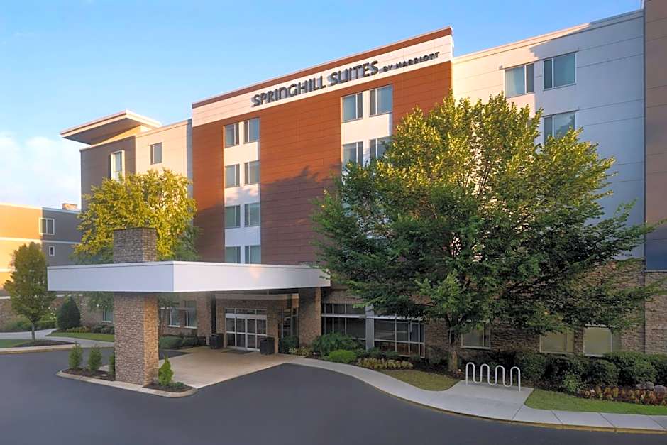 SpringHill Suites by Marriott Chattanooga Downtown/Cameron Harbor