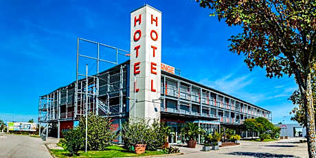 Orange Wings Wiener Neustadt