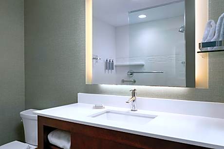 Studio, 1 King Bed with Sofa bed (1 King Bed and 1 Double Sofa Bed)