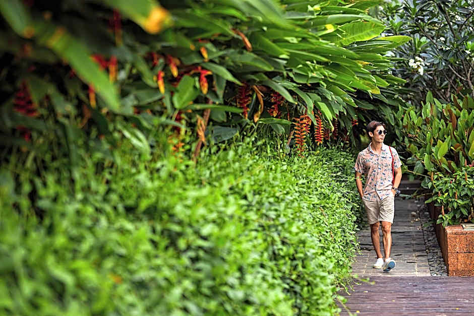 Angkor Green Garden by Dara