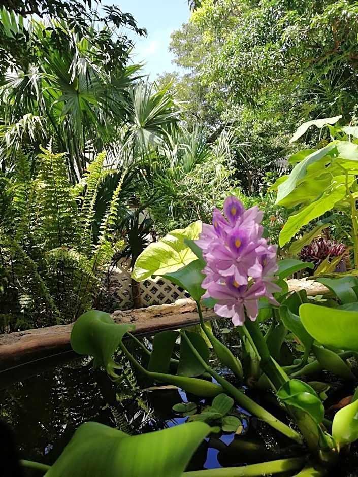 Mayan Bungalow Near Chichén