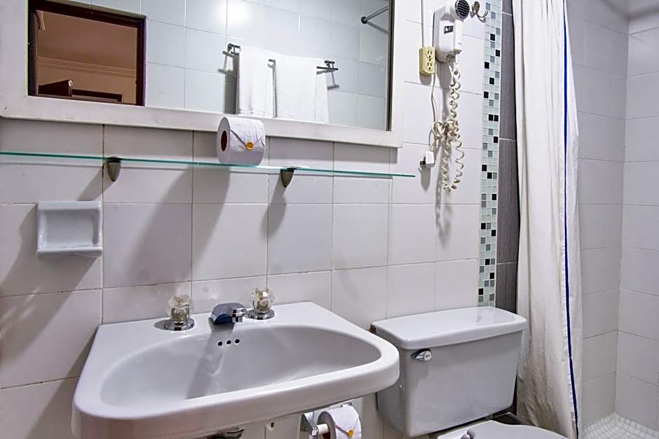 Hotel Virrey Central