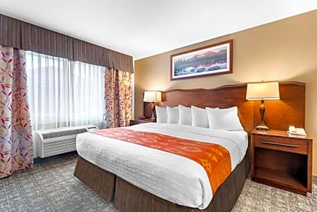 King Room with Roll-in Shower - Disability Access/Non-Smoking