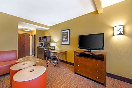 1 King Bed, Non-Smoking, Shower Only, Microwave And Refrigerator, 37 Inch Lcd Television, Pillowtop 