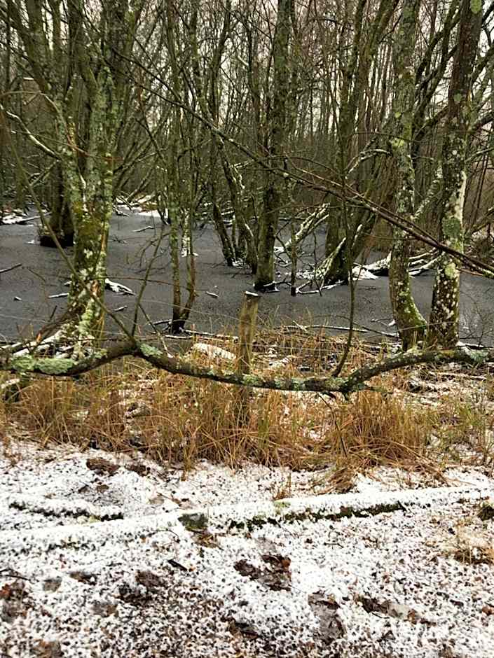 Claremont Coach House