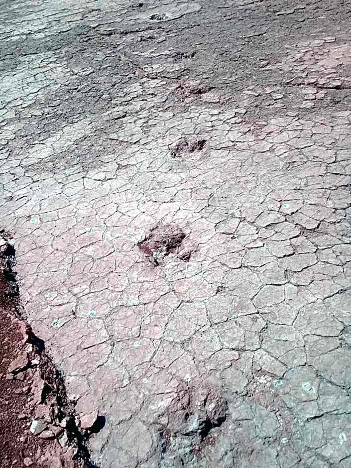 Auberge Restaurant Les Coquelicots