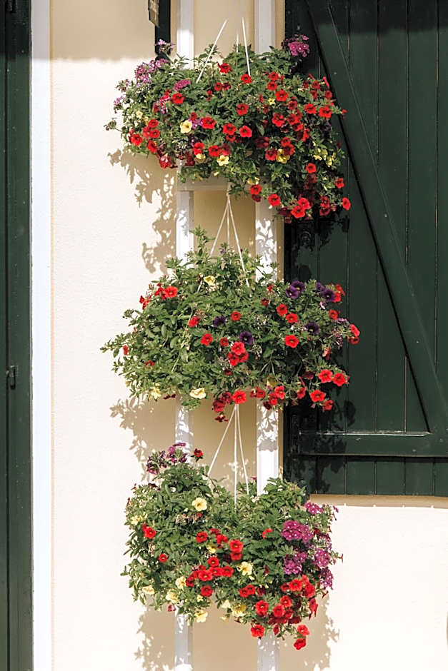 Casa Joop Dolce far Niente