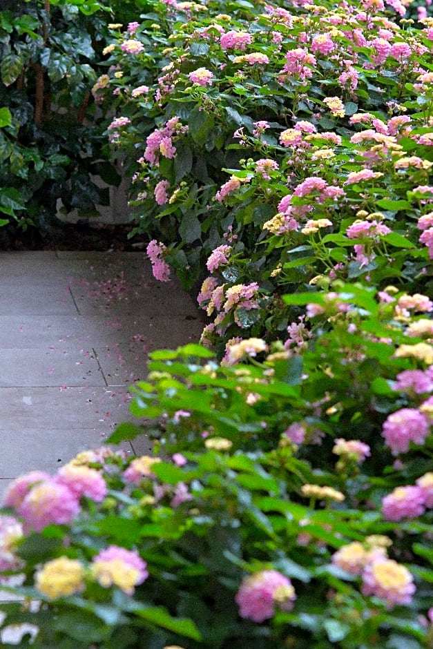 Lijiang Liman Wenzhi Hotel