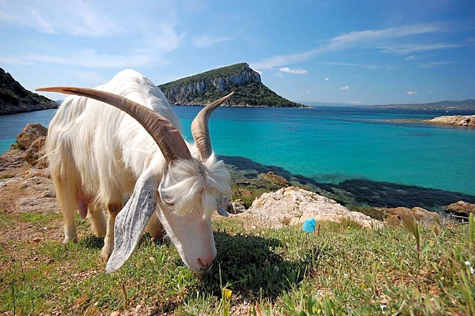 Residence Il Girasole