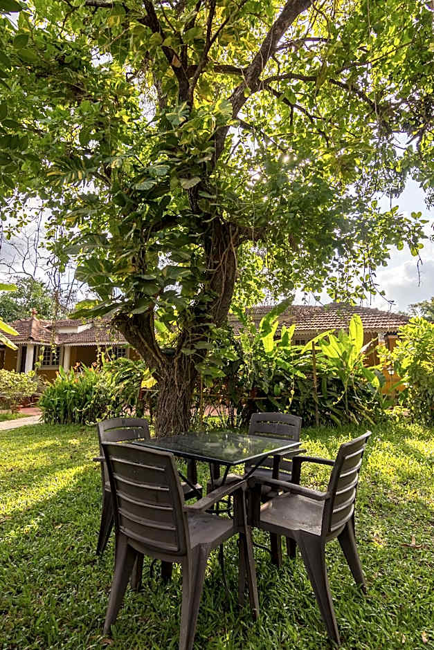 Granpas Inn - Hotel Bougainvillea