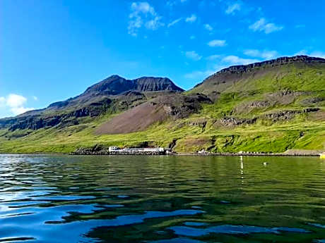 Bed in 6-Bed Dormitory Room