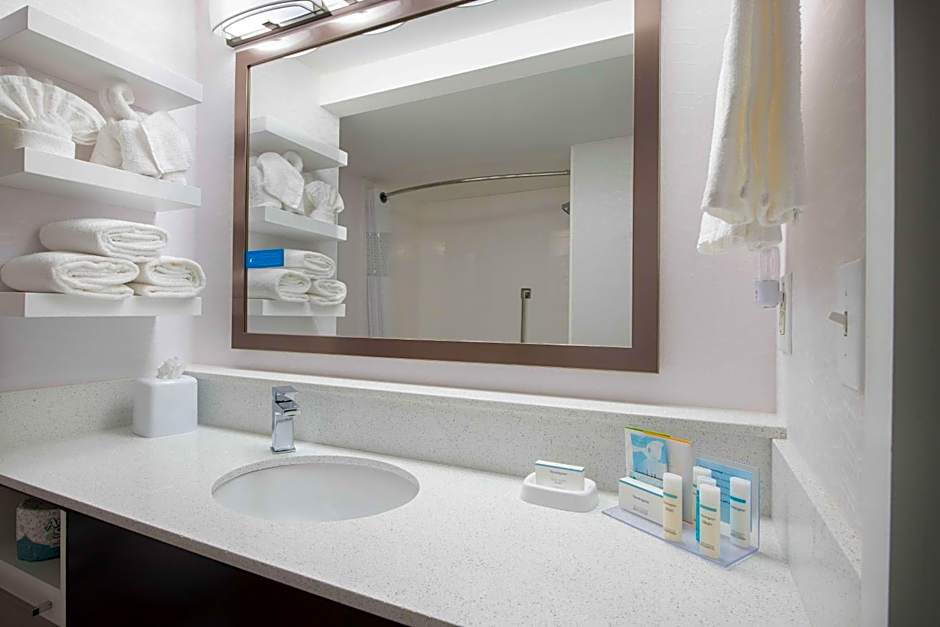 Hampton Inn By Hilton And Suites Atlanta-Galleria