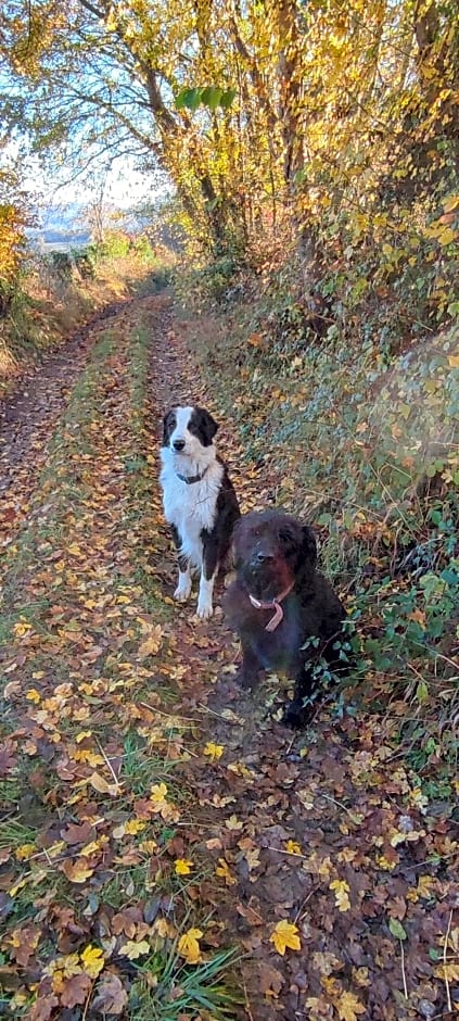 Domaine Le Lanis Chambre d'hôtes avec spa sur réservation