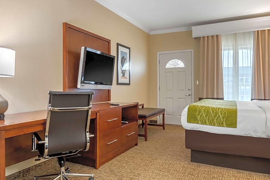 Comfort Suites Central