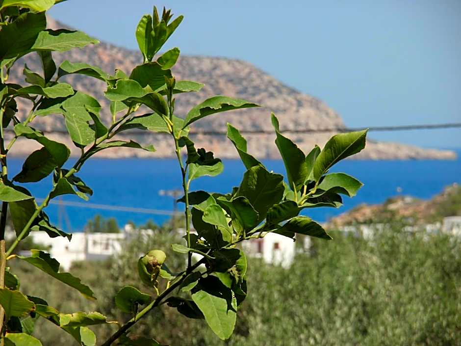 Vardes Hotel Studios