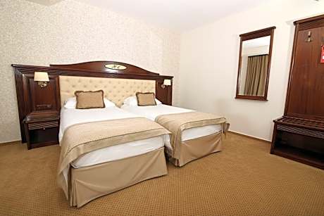Superior Double or Twin Room 4****
