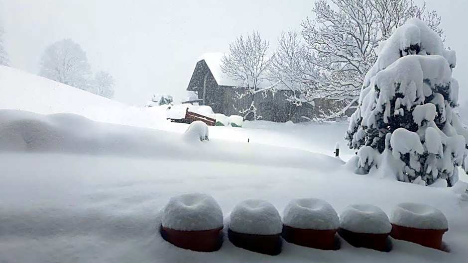 Snow+Surf B&B