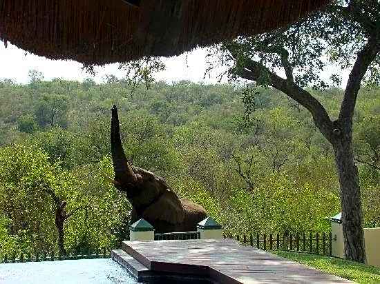 Muweti Bush Lodge