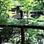 Pension Kuruminoki