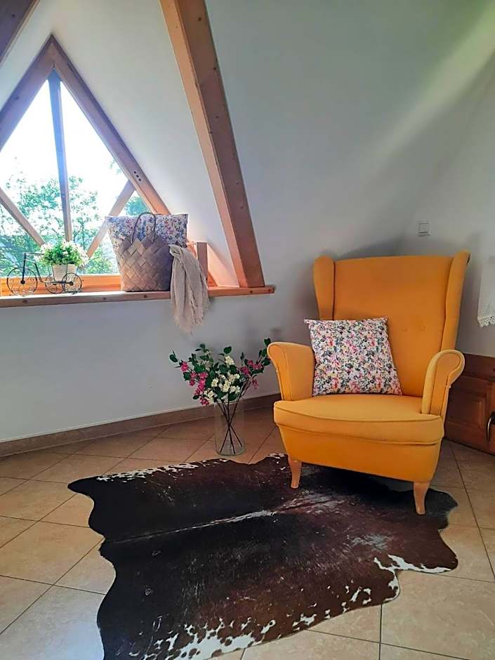 Willa Płazówka Białczańska