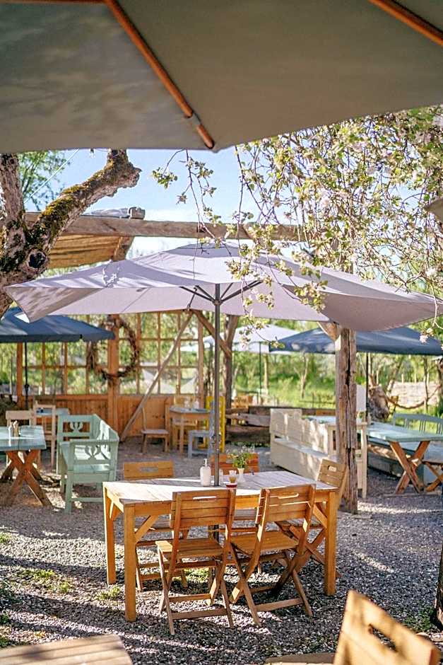 Viscri 32 - White Barn and Blue House