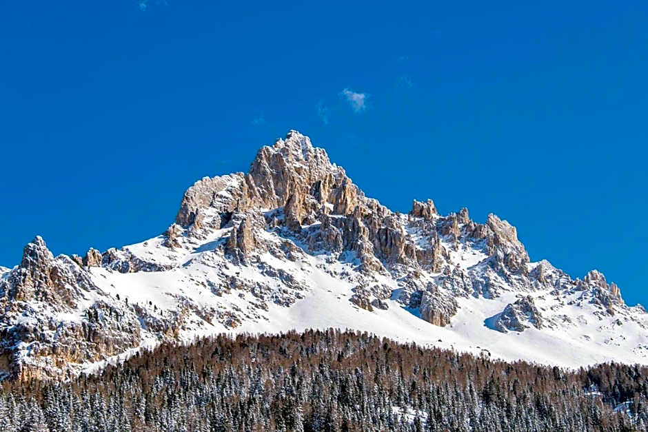 Hotel DAS ROYAL in Obereggen