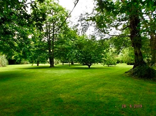 Cedar Lodge Hotel & Restaurant