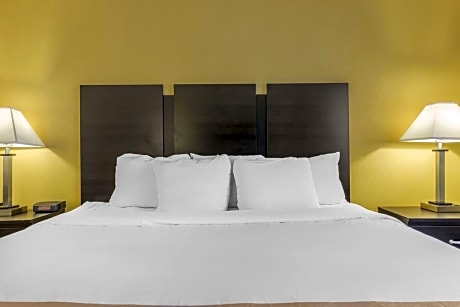 1 King Bed, Suite, Nonsmoking