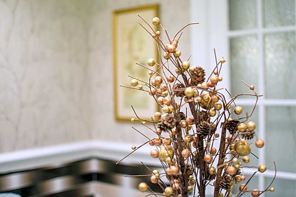 PEMBRIDGE PALACE HOTEL