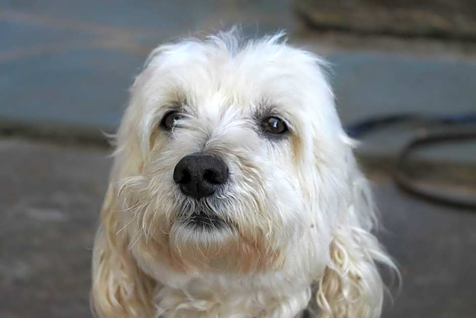 Chambres d'hôtes Le Clos des Oliviers